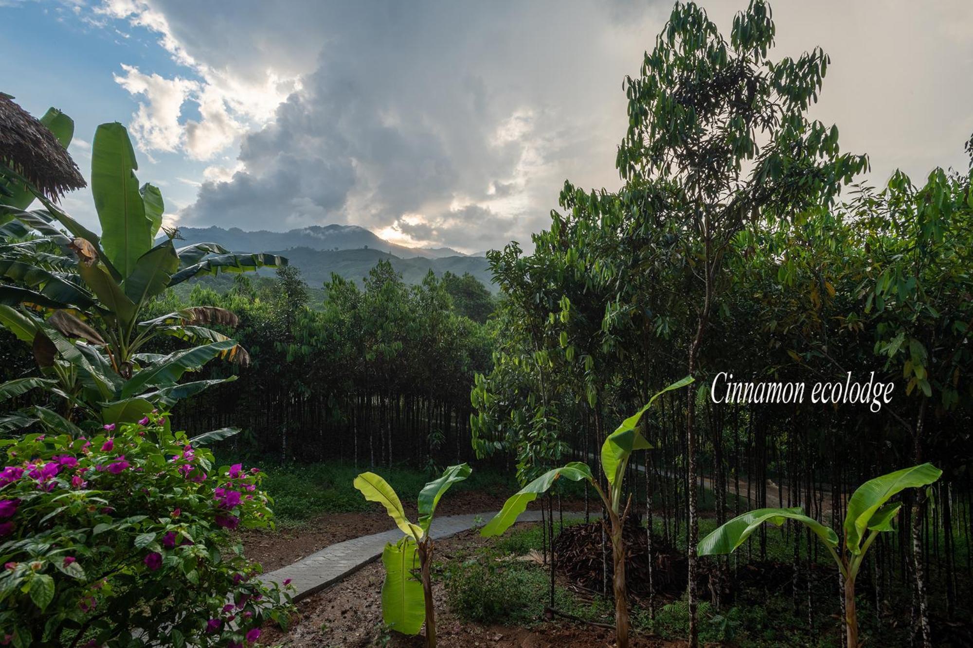 Cinnamon Eco Lodge Nam Hoac Exterior photo