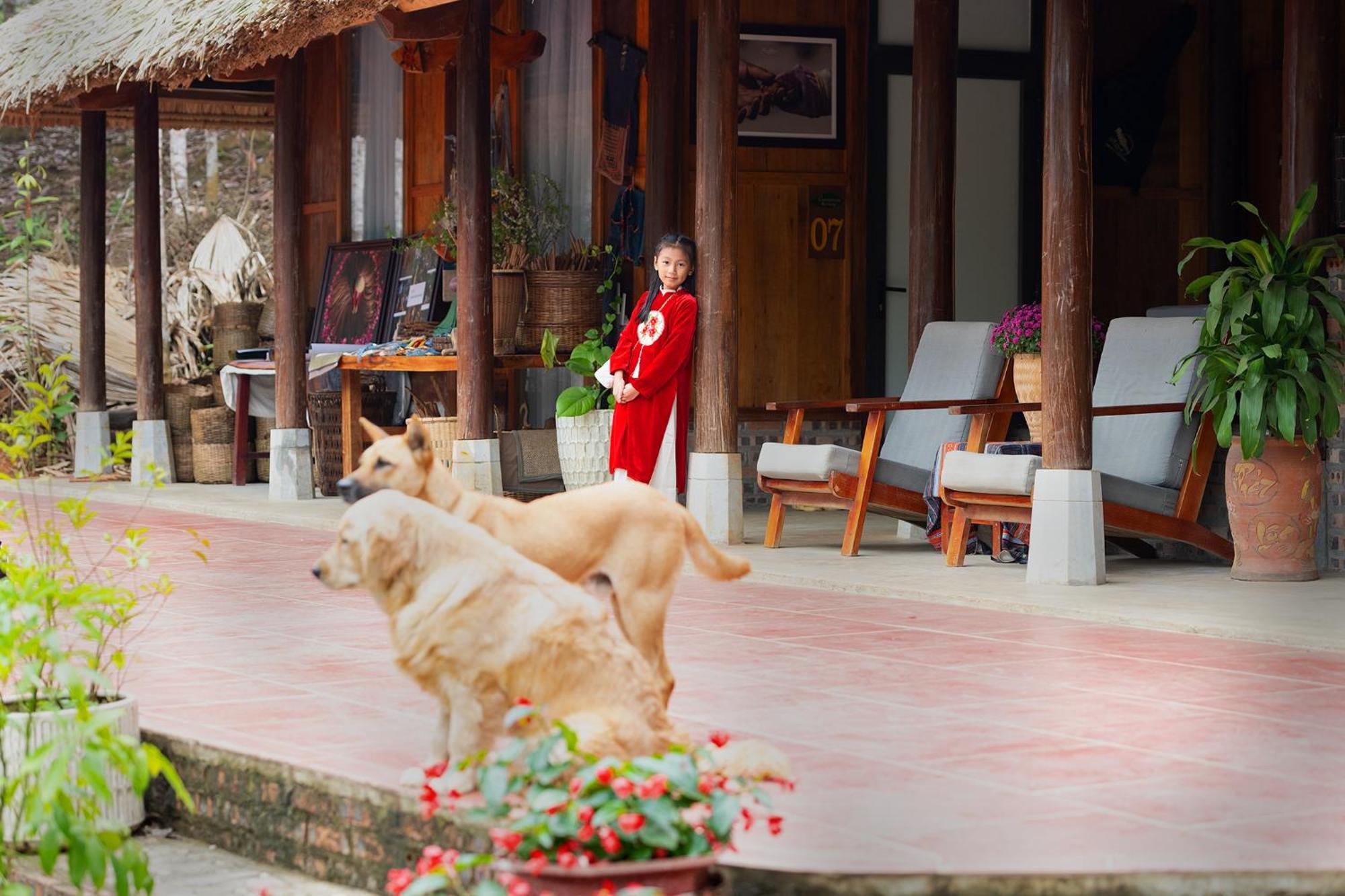 Cinnamon Eco Lodge Nam Hoac Exterior photo